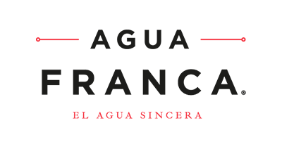 estudio de diseño web en guadalajara